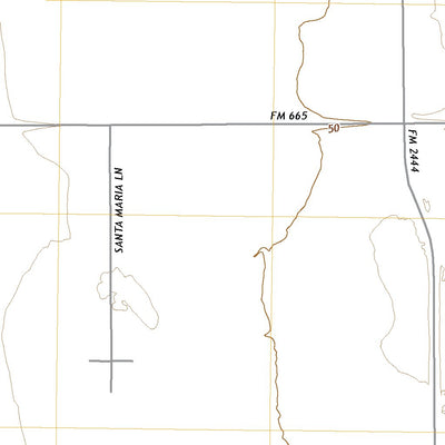 United States Geological Survey Petronila NE, TX (2022, 24000-Scale) digital map