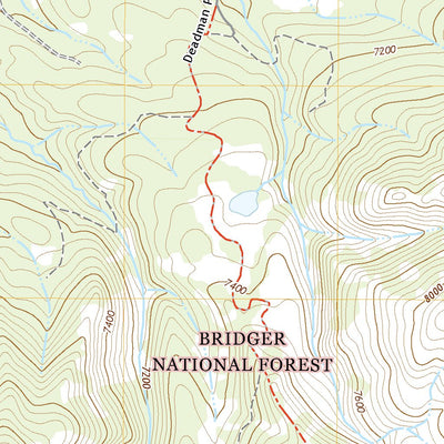 United States Geological Survey Pickle Pass, WY (2021, 24000-Scale) digital map
