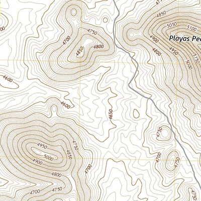 United States Geological Survey Playas Lake North, NM (2020, 24000-Scale) digital map