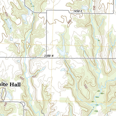 United States Geological Survey Roodhouse East, IL (2021, 24000-Scale) digital map