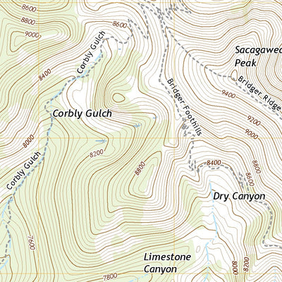 United States Geological Survey Sacagawea Peak, MT (2020, 24000-Scale) digital map