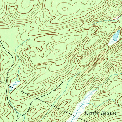 United States Geological Survey Salisbury, NY (1945, 24000-Scale) digital map