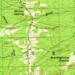 United States Geological Survey Salisbury, NY (1946, 31680-Scale) digital map