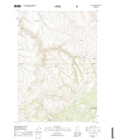United States Geological Survey Salmon Fork, OR (2020, 24000-Scale) digital map