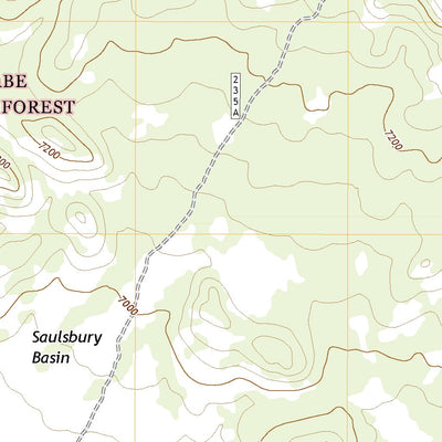 United States Geological Survey Saulsbury Basin, NV (2021, 24000-Scale) digital map