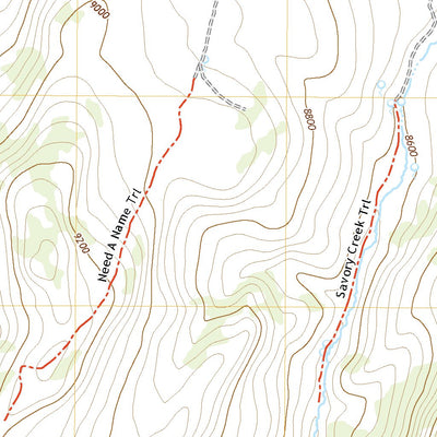 United States Geological Survey Savory Mountain, NV (2021, 24000-Scale) digital map