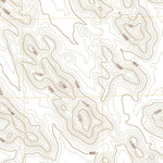 United States Geological Survey Sentinel NE, AZ (2021, 24000-Scale) digital map