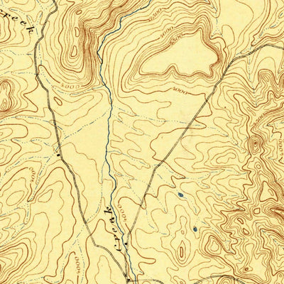 United States Geological Survey Silver City, ID (1898, 125000-Scale) digital map