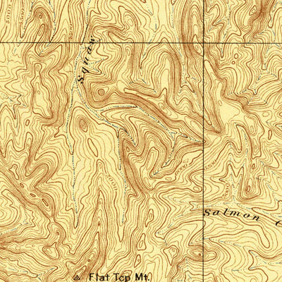 United States Geological Survey Silver City, ID (1898, 125000-Scale) digital map