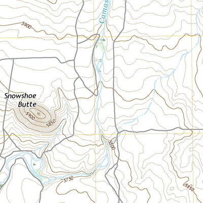 United States Geological Survey Snowshoe Butte, ID (2020, 24000-Scale) digital map