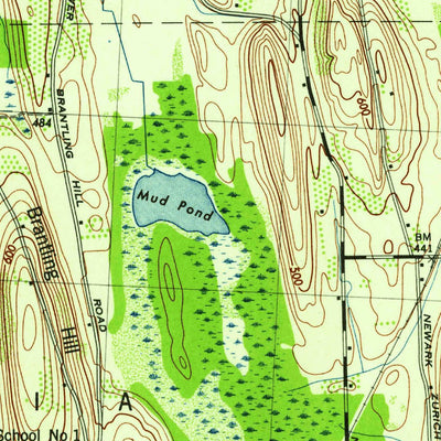United States Geological Survey Sodus, NY (1943, 31680-Scale) digital map