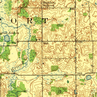 United States Geological Survey Springport, MI (1921, 62500-Scale) digital map
