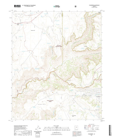 United States Geological Survey Strawberry, AZ (2021, 24000-Scale) digital map