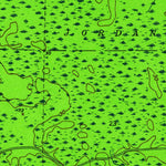 United States Geological Survey Sumatra, FL (1946, 24000-Scale) digital map