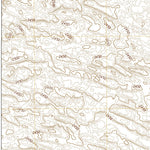 United States Geological Survey Taylor NW, NE (2021, 24000-Scale) digital map