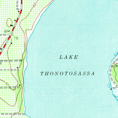 United States Geological Survey Thonotosassa, FL (1943, 24000-Scale) digital map