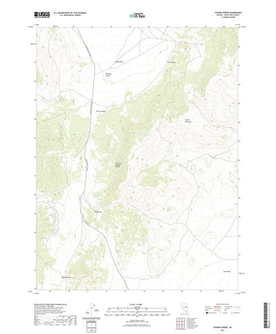 United States Geological Survey Tognini Spring, NV (2021, 24000-Scale) digital map