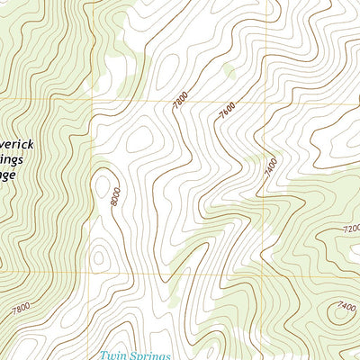 United States Geological Survey Tognini Spring, NV (2021, 24000-Scale) digital map