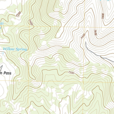 United States Geological Survey Tognini Spring, NV (2021, 24000-Scale) digital map