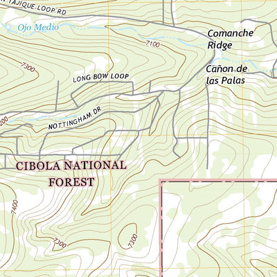 United States Geological Survey Torreon, NM (2020, 24000-Scale) digital map