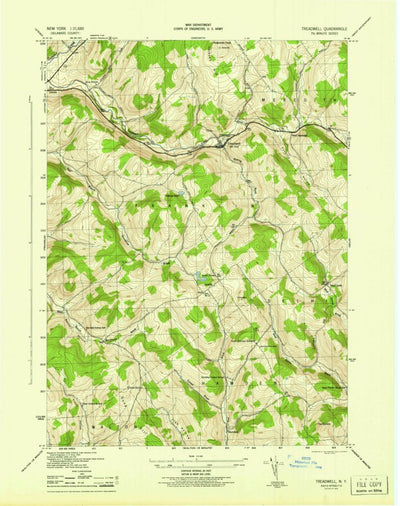 United States Geological Survey Treadwell, NY (1945, 31680-Scale) digital map