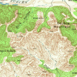 United States Geological Survey Turkey Mountain, TX (1938, 62500-Scale) digital map