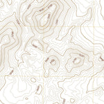 United States Geological Survey Twin Springs Slough, NV (2021, 24000-Scale) digital map