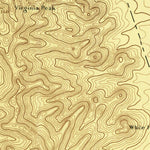 United States Geological Survey Wadsworth, NV (1894, 125000-Scale) digital map
