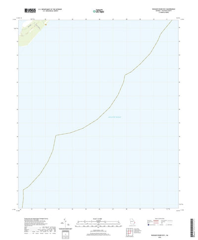 United States Geological Survey Wassaw Sound OE S, GA (2020, 24000-Scale) digital map