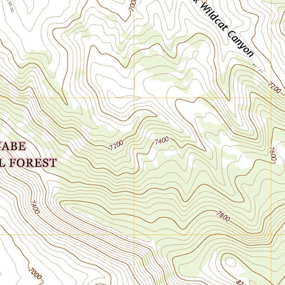 United States Geological Survey Wildcat Canyon, NV (2021, 24000-Scale) digital map