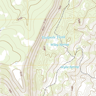 United States Geological Survey Wiley Mesa, NM (2020, 24000-Scale) digital map