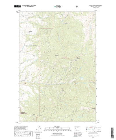 United States Geological Survey Willow Mountain, MT (2020, 24000-Scale) digital map