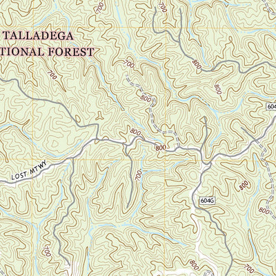 United States Geological Survey Winterboro, AL (2021, 24000-Scale) digital map