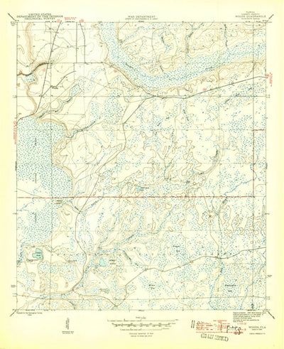 United States Geological Survey Woods, FL (1945, 31680-Scale) digital map