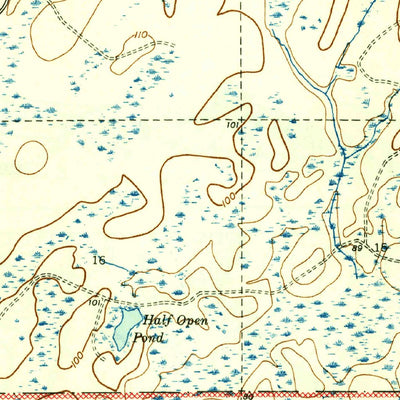 United States Geological Survey Woods, FL (1945, 31680-Scale) digital map