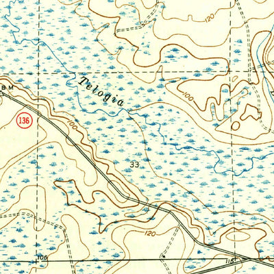 United States Geological Survey Woods, FL (1945, 31680-Scale) digital map