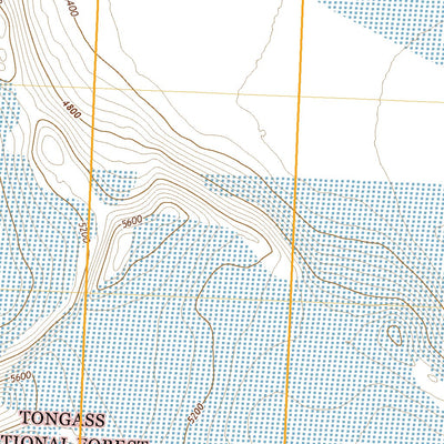 United States Geological Survey Yakutat C-1 SW, AK (2021, 25000-Scale) digital map