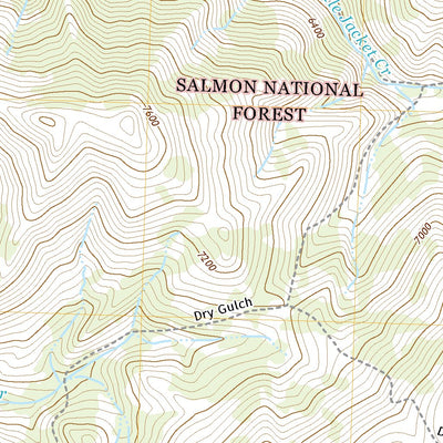 United States Geological Survey Yellowjacket, ID (2020, 24000-Scale) digital map