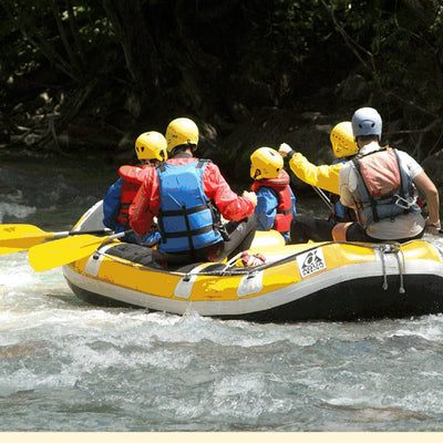 US Forest Service R4 Humboldt-Toiyabe NF Carson Ranger District South Half Forest Visitor Map 2016 digital map