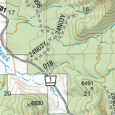 US Forest Service R5 Dixie Mountain (2012) digital map