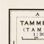 Waldin Tampere (Tammerfors) town plan, 1929. Environs of Tampere (town map) digital map