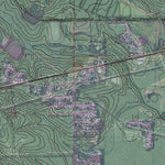 Western Michigan University AL-DALEVILLE: GeoChange 1946-2013 digital map