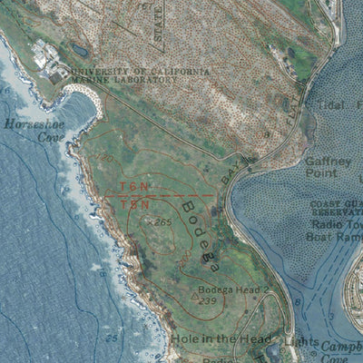 Western Michigan University CA-Bodega Head: GeoChange 1971-2012 digital map