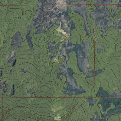 Western Michigan University CO-BAKERS PEAK: GeoChange 1968-2011 digital map