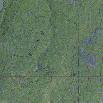Western Michigan University CO-Cathedral Peak: GeoChange 1955-2009 digital map
