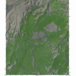 Western Michigan University CO-LAKE MOUNTAIN: GeoChange 1961-2009 digital map