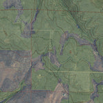Western Michigan University CO-NORWOOD: GeoChange 1963-2011 digital map