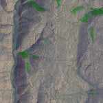 Western Michigan University CO-PARLIN: GeoChange 1962-2011 digital map