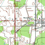 Western Michigan University DE-Ellendale: Authoritative US Topos 1992 digital map