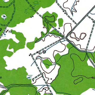 Western Michigan University MD-Goldsboro: Authoritative US Topos 1944 digital map